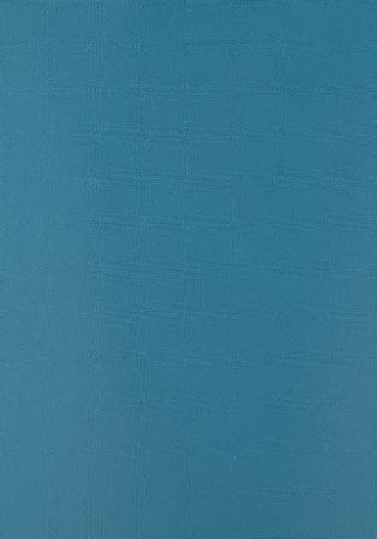 Badeanzug"Praia"
