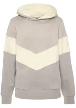 Kapuzensweatshirt